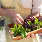 Maggie Beer's Farm Cooking School and Seasonal Lunch - The Itinerary in Detail