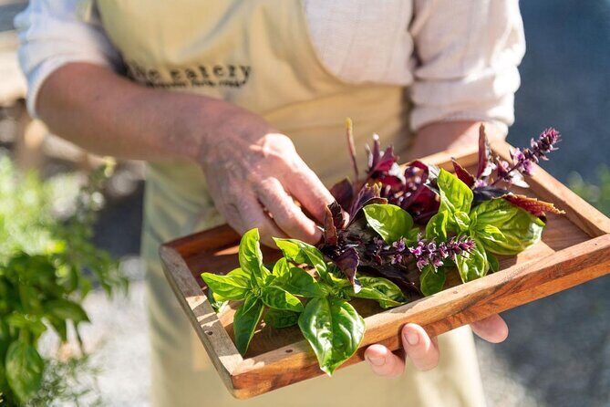 Maggie Beer's Farm Cooking School and Seasonal Lunch - The Itinerary in Detail