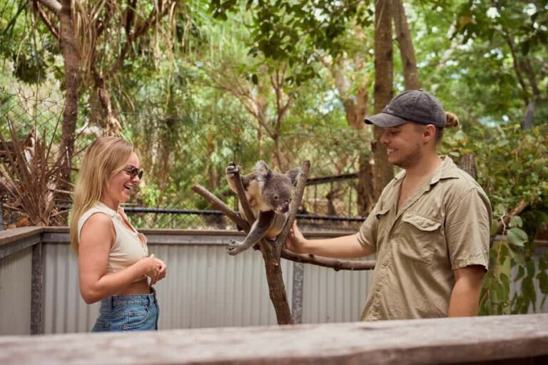 Magnetic Island: Breakfast with Koalas Experience - Who Will Enjoy This Tour?