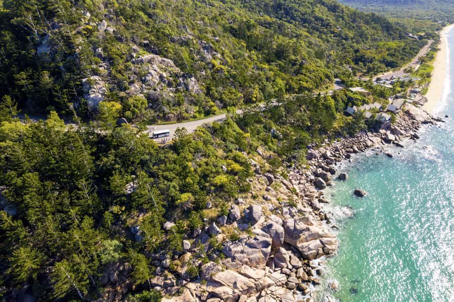 Magnetic Island: Private Guided Tour including Koalas - Who Will Love This Tour?