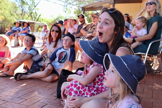 Malcolm Douglas Crocodile Park Tour Including Transportation - What’s Included and How It Works