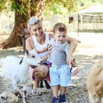 Maleny Botanic Gardens Bird Aviary Experience Ticket - The Gardens and Surroundings