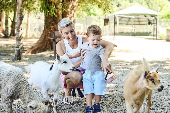 Maleny Botanic Gardens Bird Aviary Experience Ticket - The Gardens and Surroundings