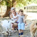 Maleny: Maleny Botanic Gardens & Bird World Entry Ticket - An In-Depth Look at What to Expect