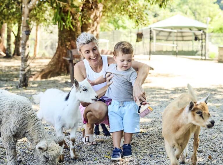 Maleny: Maleny Botanic Gardens & Bird World Entry Ticket - An In-Depth Look at What to Expect