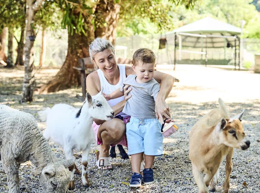 Maleny: Maleny Botanic Gardens & Bird World Entry Ticket - An In-Depth Look at What to Expect