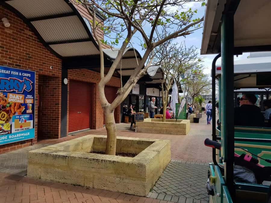 Mandurah: Big Toot 30 mins scenic tour - Who Will Enjoy the Big Toot?