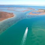 Mandurah: Dolphin & Giant Sightseeing Cruise - Why This Tour Offers Great Value