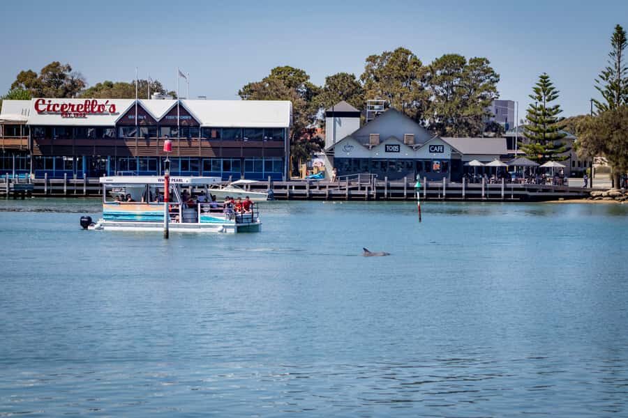 Mandurah: Sightseeing Dolphin Cruise with Tour Guide - Exploring Mandurah’s Waterways