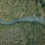 Mangroves and Mansions Guided Kayak Tour on the Noosa River - Final Thoughts: Who Should Book?