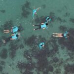 Manly Beach Guided Snorkeling Tours - Final Thoughts: Who Will Love This Tour?