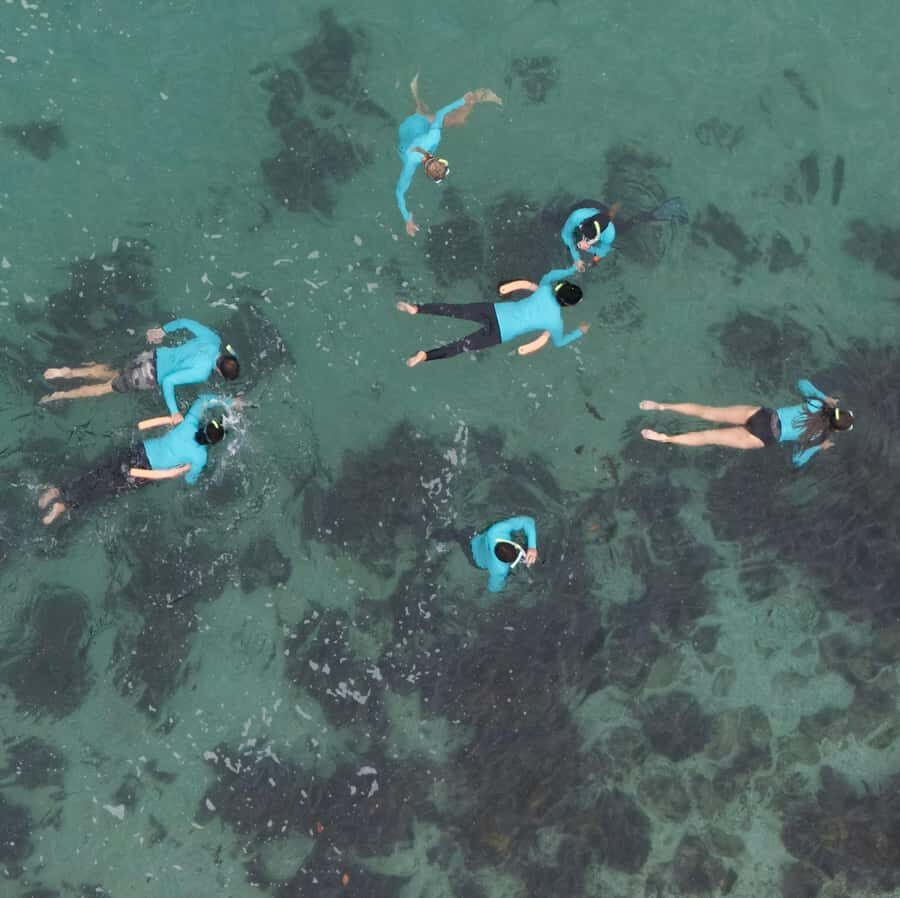 Manly Beach Guided Snorkeling Tours - Final Thoughts: Who Will Love This Tour?