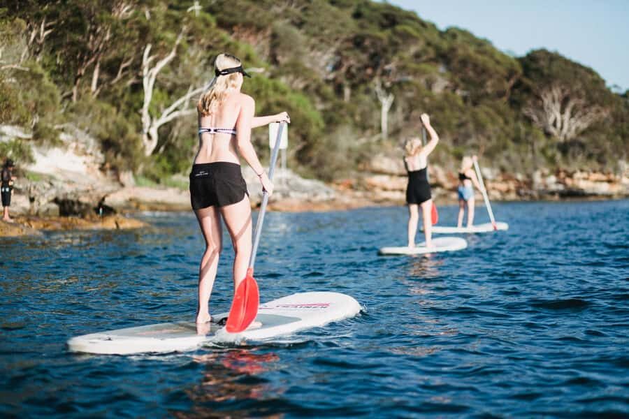 Manly Stand Up Paddle Board Hire - What to Expect When You Book