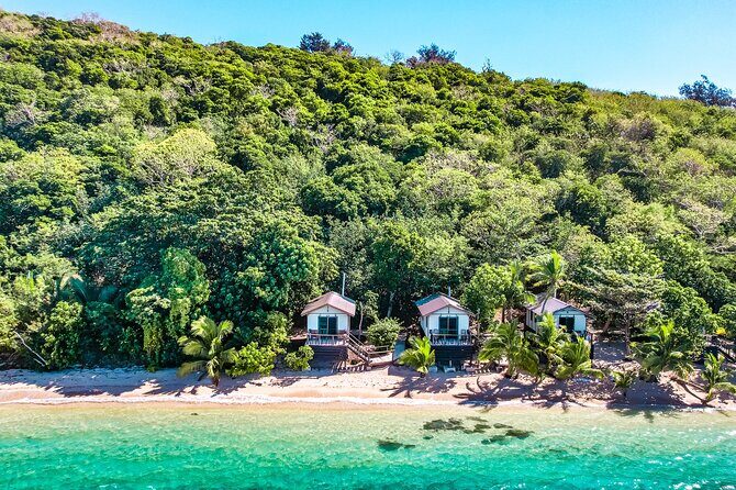 Mantaray Island Day Trip with Lunch - The Experience: What You’ll Love and What to Watch For