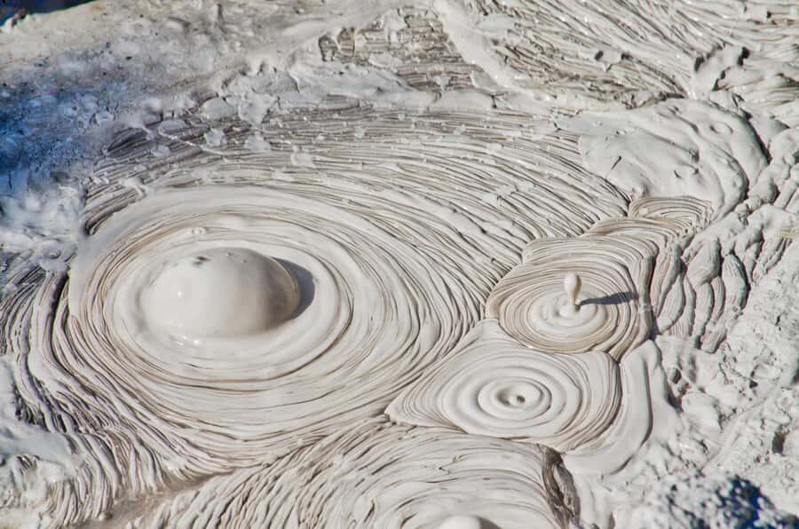 Maori Culture Small Group Afternoon Tour including Te Puia - Deep Dive into the Details