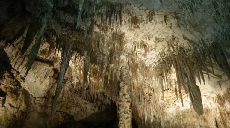 Margaret River and Busselton Jetty: Day Trip from Perth - The Practicalities: Transportation, Timing, and Cost