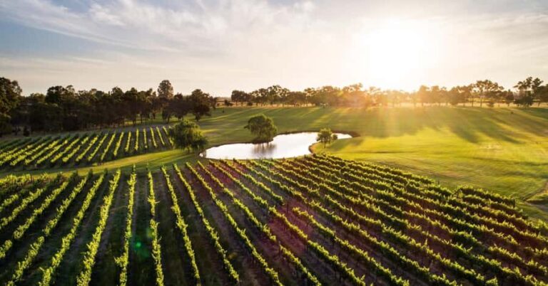 Margaret River, Chocolate, Wine & Coast Day Trip from Perth - What We Love About This Tour