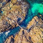 Margaret River Day Tour With Wildlife Cruise & Wine Tasting - What Travelers Say