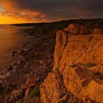 Margaret River Indulge and Discover Day Tour - A Deep Dive into the Margaret River Indulge and Discover Tour