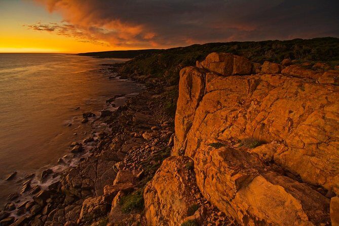 Margaret River Indulge and Discover Day Tour - A Deep Dive into the Margaret River Indulge and Discover Tour