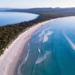 Maria Island Cruise and Guided Walk Day Tour with Lunch and Drinks - What Makes This Tour Stand Out?