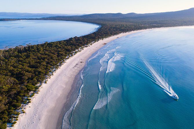 Maria Island Cruise and Guided Walk Day Tour with Lunch and Drinks - What Makes This Tour Stand Out?