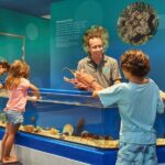 Marine Discovery Centre - Who Will Love This Experience?
