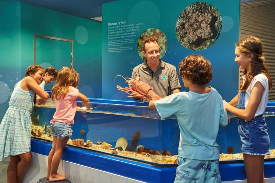 Marine Discovery Centre - Who Will Love This Experience?