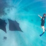 Marine Eco Safari - Swim with Manta Rays - Authentic Experiences from Guest Reviews