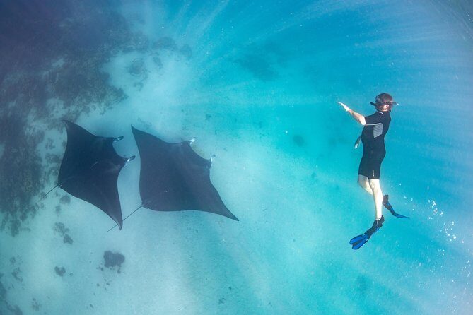 Marine Eco Safari - Swim with Manta Rays - Authentic Experiences from Guest Reviews