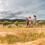 Marlborough Afternoon Wine Tour with Tastings - The Reviews: Authentic Perspectives