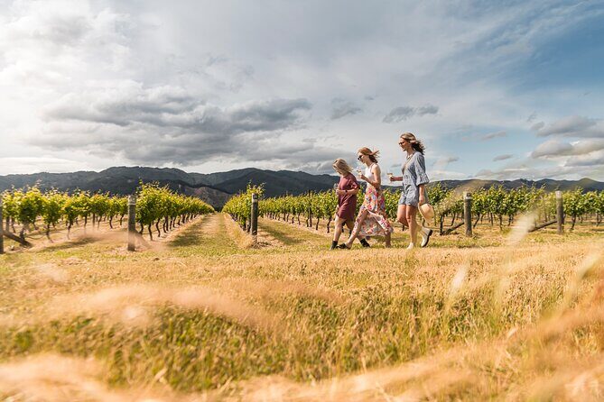 Marlborough Afternoon Wine Tour with Tastings - The Reviews: Authentic Perspectives