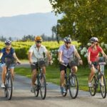Marlborough: Full-Day Self-Guided Biking Wine Tour - What the Tour Includes and What You’ll Pay For