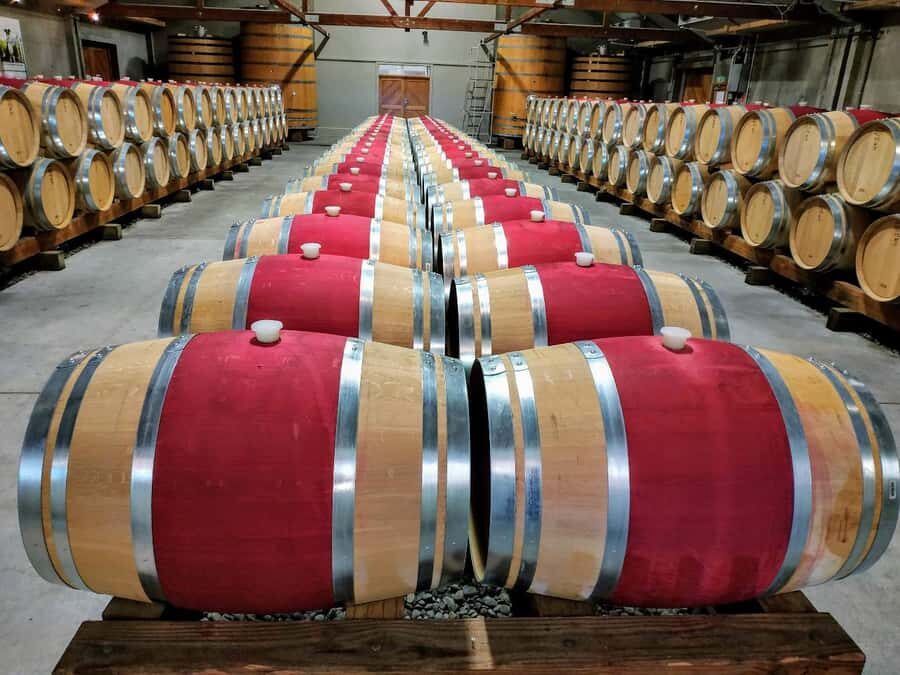 Marlborough: Half Day Blenheim Wine Tour - Eating & Sipping - Morning: The Vineyard Lunch