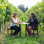 Marlborough Half Day Wine Tour From Picton 1pm - What the reviews reveal