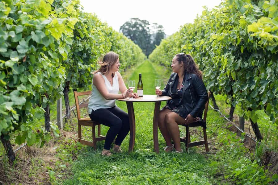 Marlborough Half Day Wine Tour From Picton 1pm - What the reviews reveal