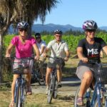 Marlborough: Half Guided and Half Self-Guided Bike Wine Tour - The Sum Up