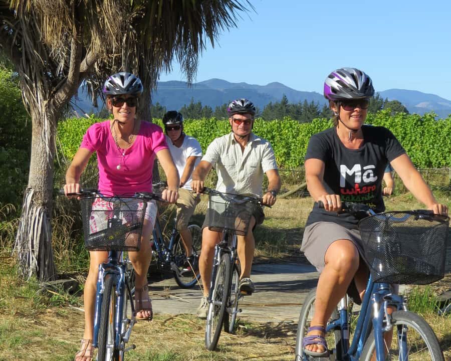 Marlborough: Half Guided and Half Self-Guided Bike Wine Tour - The Sum Up