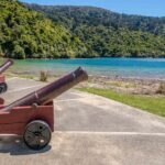 Marlborough Sounds and Ship Cove Cruise from Picton - The Experience in Detail