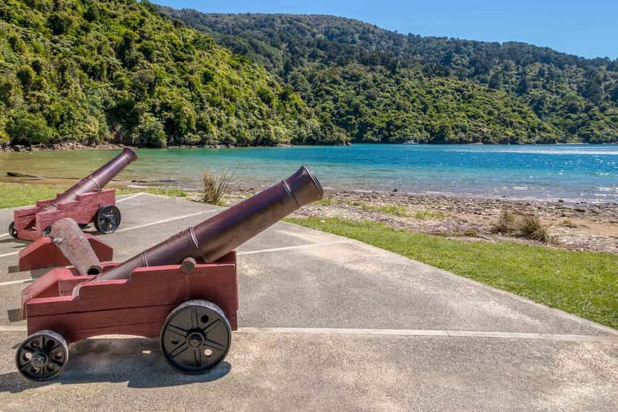 Marlborough Sounds and Ship Cove Cruise from Picton - The Experience in Detail