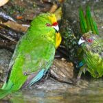 Marlborough Sounds Ultimate Cruise - The Real Experience: What Travelers Say