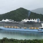 Marlborough Wine Region Tour from the Port of Picton - What’s Included and What’s Not