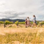 Marlborough: Wineries Visit and Tasting Session - A Detailed Look at the Marlborough Winery Tour