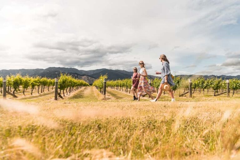 Marlborough: Wineries Visit and Tasting Session - A Detailed Look at the Marlborough Winery Tour
