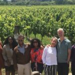 Martinborough Foodie Half Day Tour from Wellington - What’s Included and What’s Not