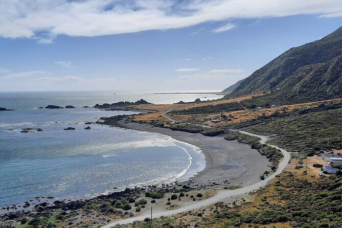 Martinborough Wine and Wild Coast Tour from Wellington - Transportation and Group Size