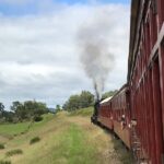 Mary Valley Tour with Mary Valley Rattler, Lunch and Kenilworth - Who Should Consider This Tour?