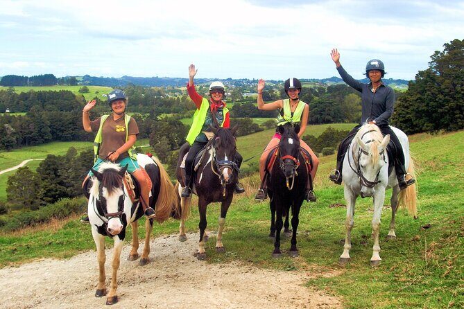 Matakana Art & Horse Riding Experience Private Tour From Auckland - Artistic Inspiration at Sculptureum