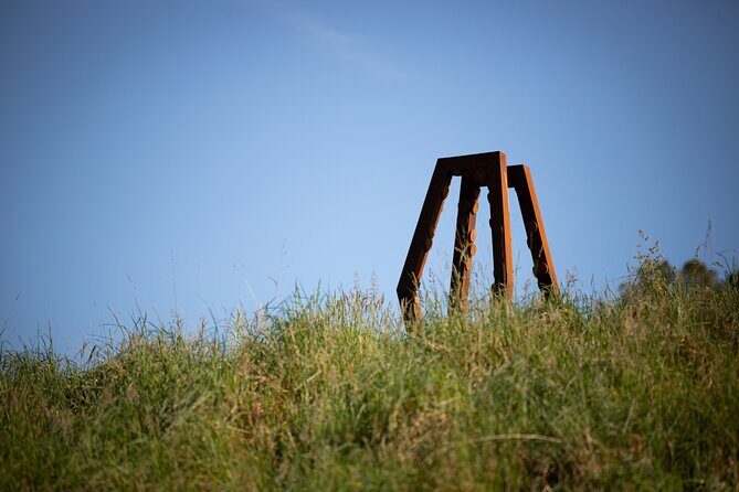 Matakana Art & Vineyard Experience incl. Lunch & Wine Tasting Tour From Auckland - Why This Tour Works