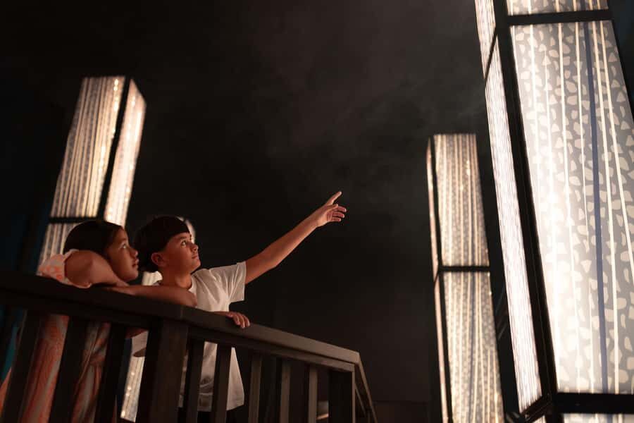 Matakohe: The Kauri Museum Entry Ticket - Why You Should Consider Visiting the Kauri Museum